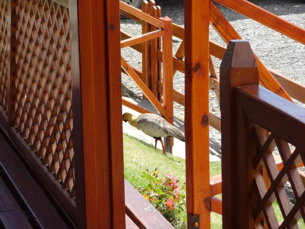 Cabanas De Nene Aparts El Calafate Zewnętrze zdjęcie